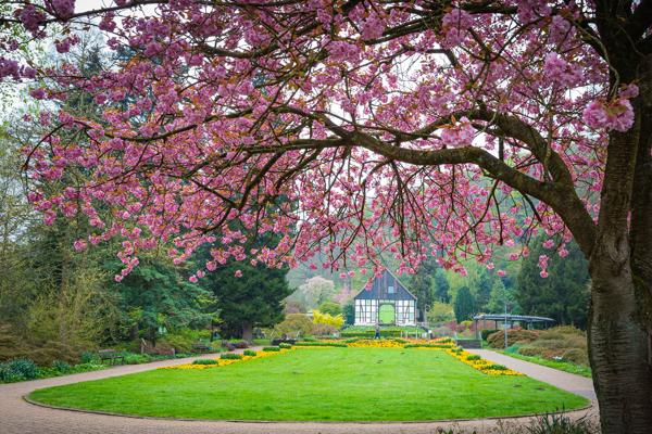 Botanischer Garten Bielefeld