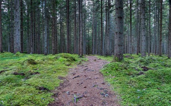 Schweden