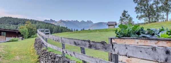 Landschaft